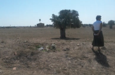 Τρισάγιο αγνοουμένων Άσσιας 24Αυγ2014