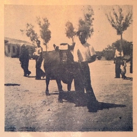 Γεωργική Έκθεση Άσσιας - Ρόης Κασάπης