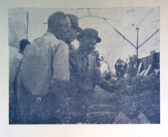 Γεωργική Έκθεση Άσσιας - Ρόης Κασάπης