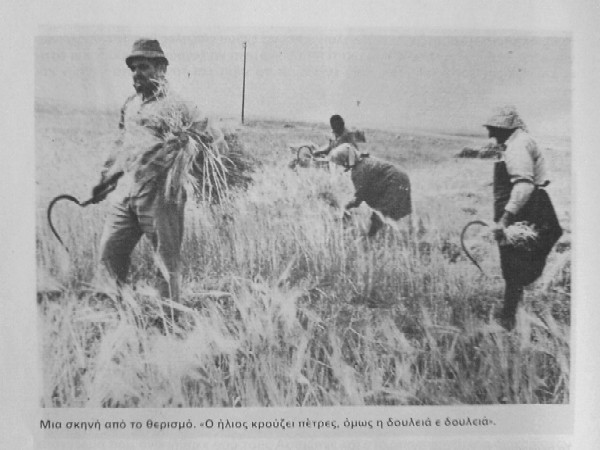 Η γεωργία στην Άσσια